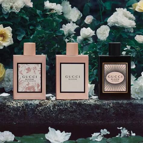 gucci bloom reseña|Gucci Bloom release date.